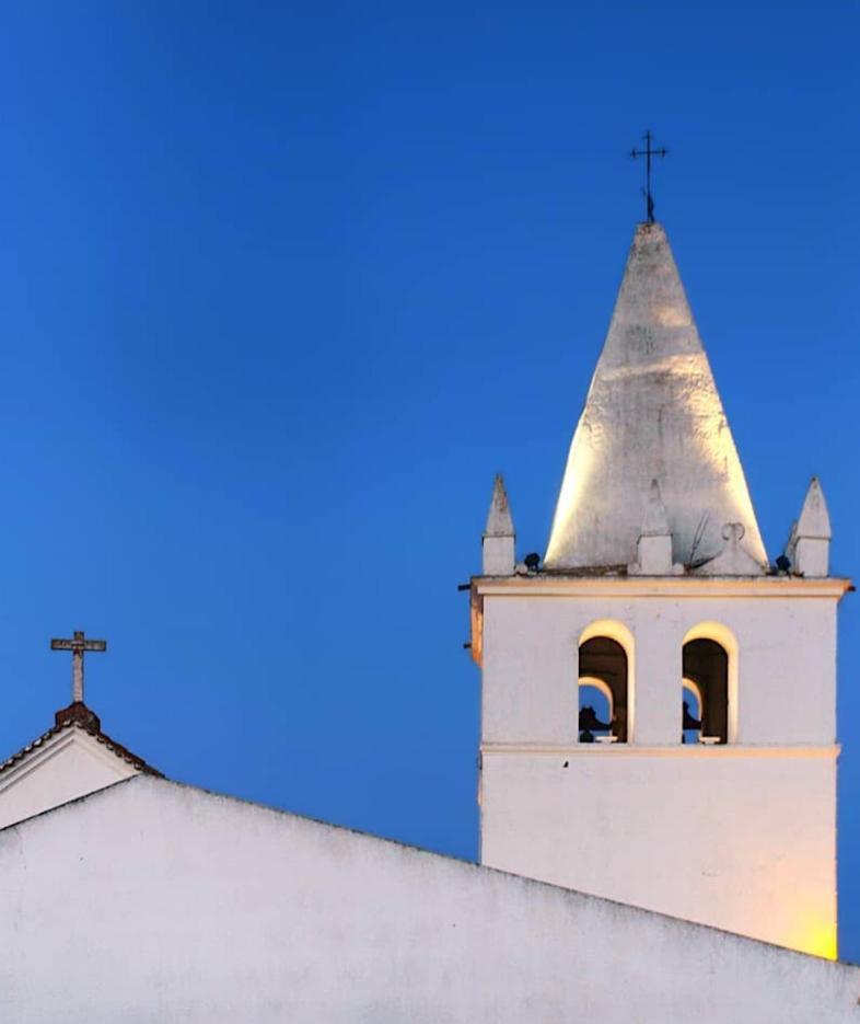 Nova Quinta Moderna Torramo Em Oliveiras, Campo De Laranjas, Na Nacional 2, Alentejo 13750 M2 Torrão Exterior foto
