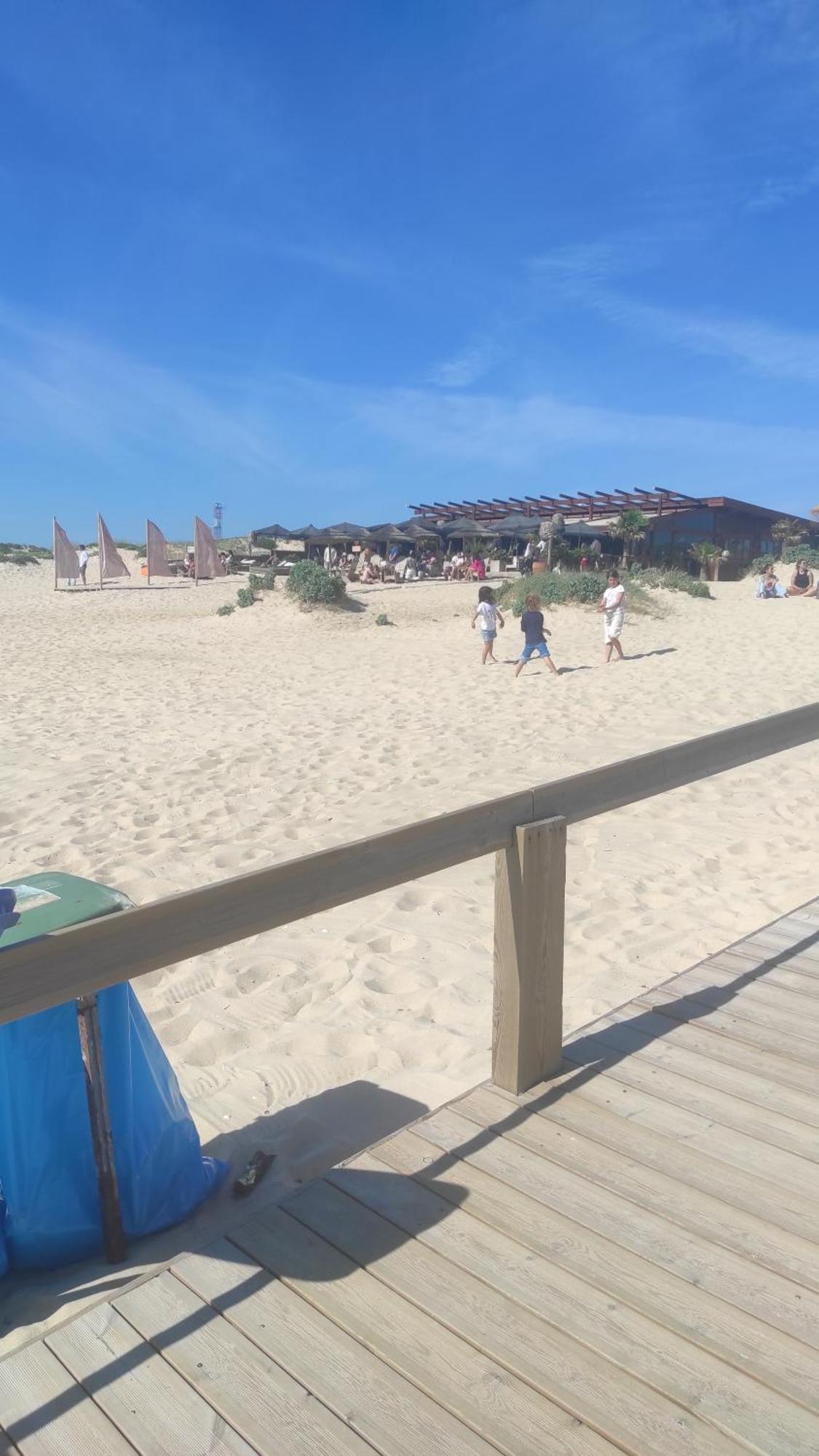 Nova Quinta Moderna Torramo Em Oliveiras, Campo De Laranjas, Na Nacional 2, Alentejo 13750 M2 Torrão Quarto foto