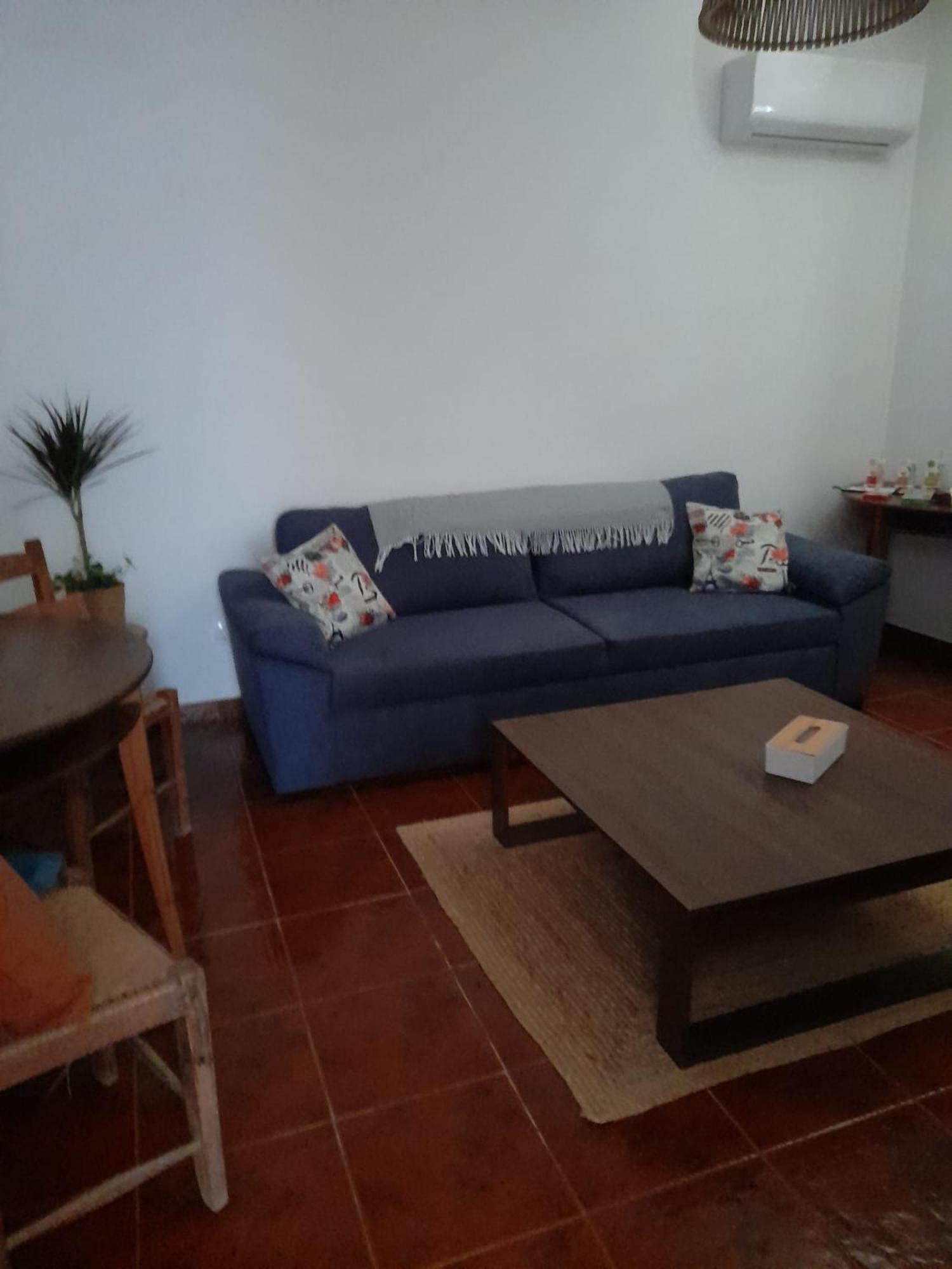 Nova Quinta Moderna Torramo Em Oliveiras, Campo De Laranjas, Na Nacional 2, Alentejo 13750 M2 Torrão Exterior foto