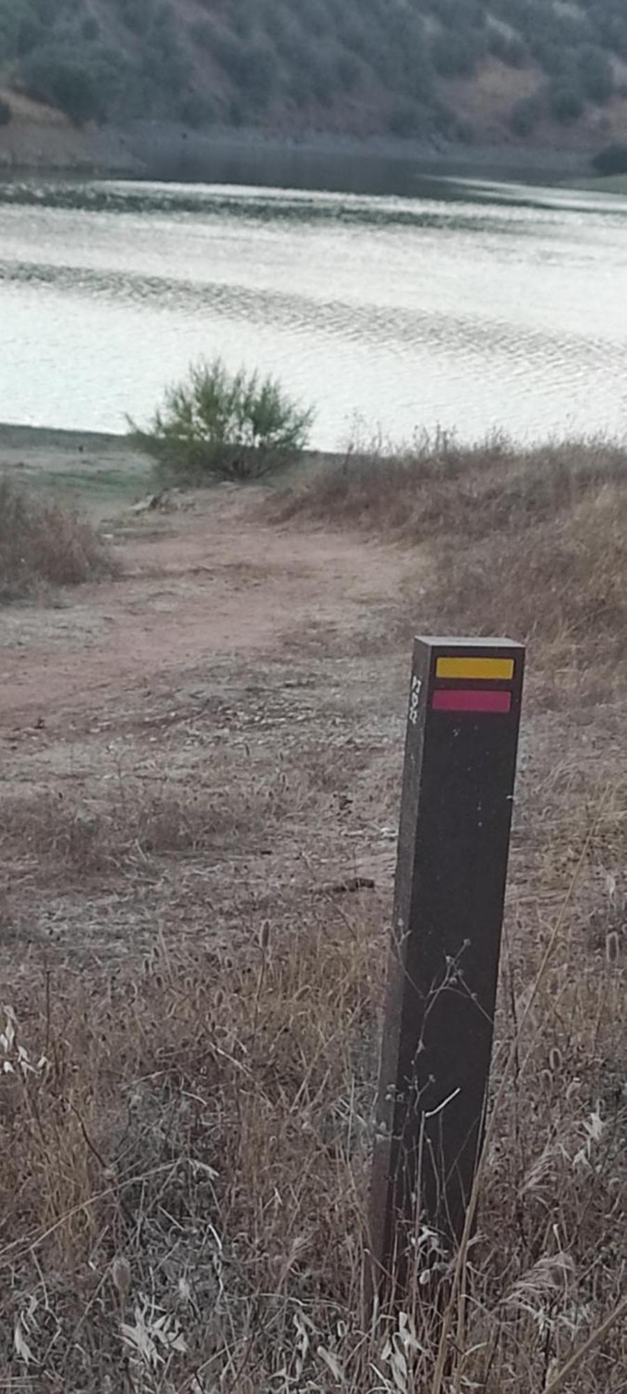 Nova Quinta Moderna Torramo Em Oliveiras, Campo De Laranjas, Na Nacional 2, Alentejo 13750 M2 Torrão Exterior foto